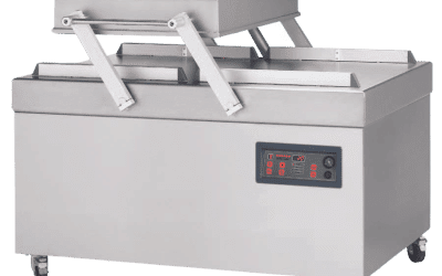 Double Chamber Standing Vacuum Packager